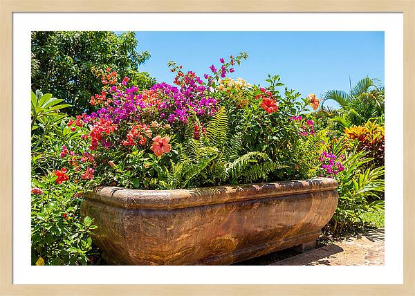 Stone Pig Trough Flower Planter