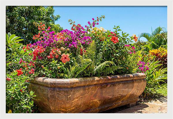 Stone Pig Trough Flower Planter