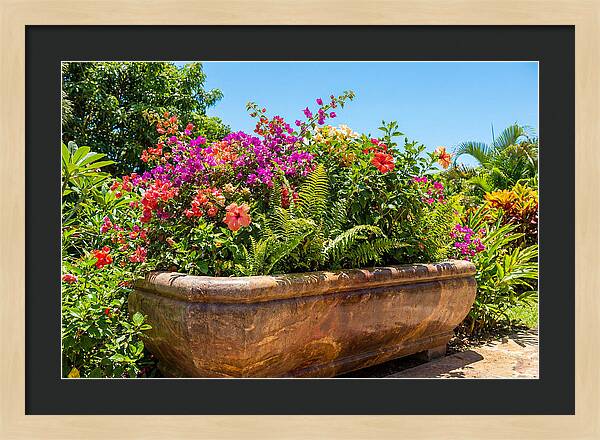 Stone Pig Trough Flower Planter