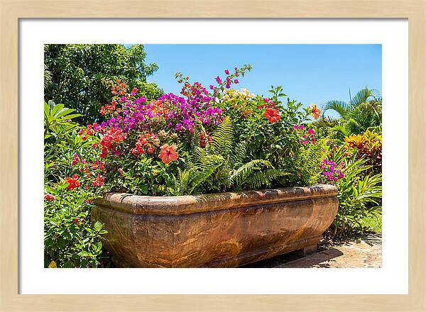 Stone Pig Trough Flower Planter