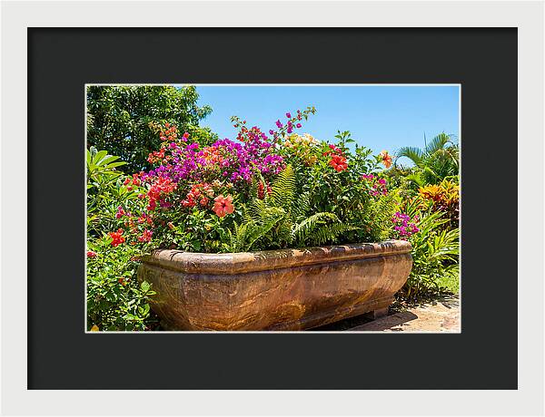 Stone Pig Trough Flower Planter