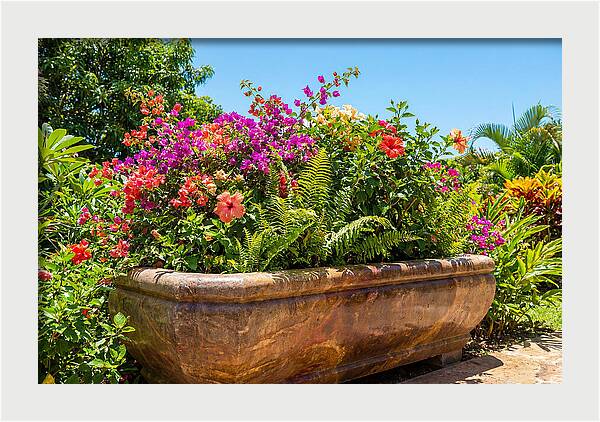 Stone Pig Trough Flower Planter
