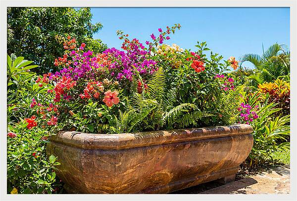 Stone Pig Trough Flower Planter
