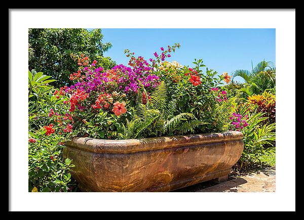 Stone Pig Trough Flower Planter