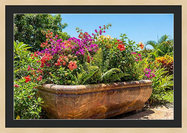 Stone Pig Trough Flower Planter