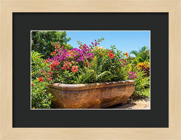 Stone Pig Trough Flower Planter