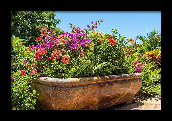 Stone Pig Trough Flower Planter