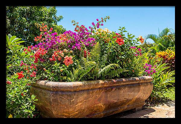 Stone Pig Trough Flower Planter