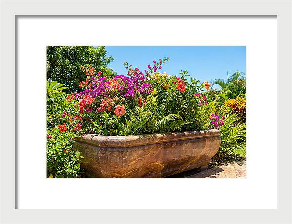 Stone Pig Trough Flower Planter
