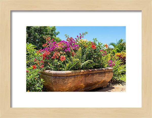 Stone Pig Trough Flower Planter