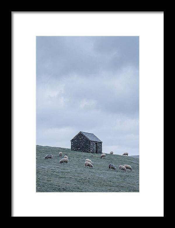 Stone Shepherds Hut With Grazing Sheep