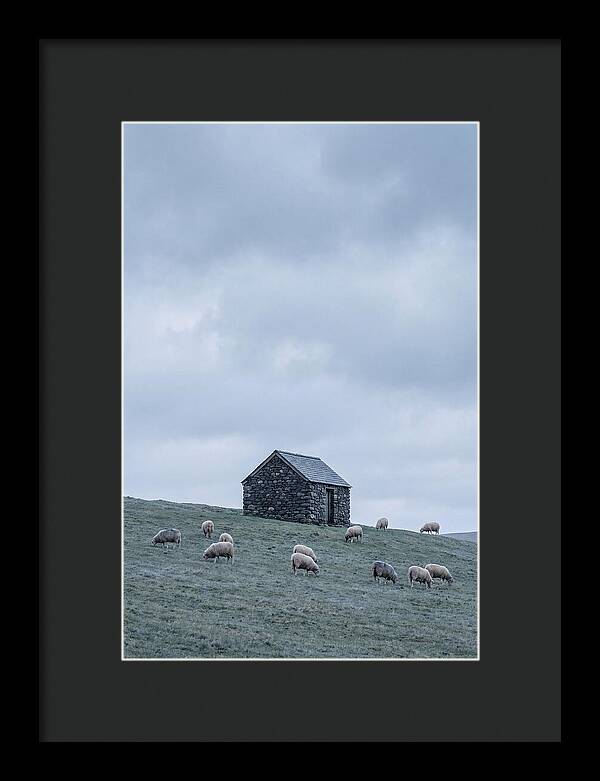 Stone Shepherds Hut With Grazing Sheep