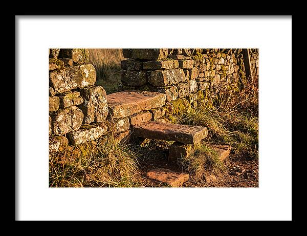 Stone Slab Steps Through Time