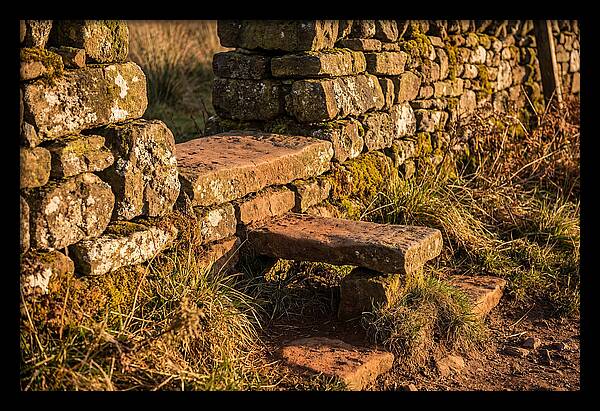 Stone Slab Steps Through Time