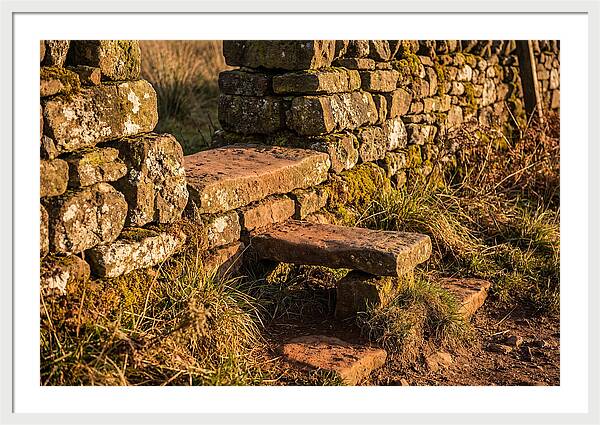 Stone Slab Steps Through Time