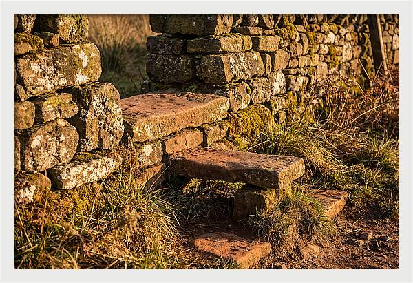 Stone Slab Steps Through Time