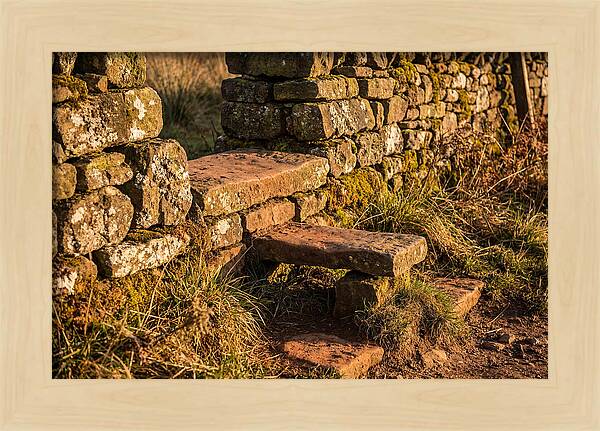 Stone Slab Steps Through Time