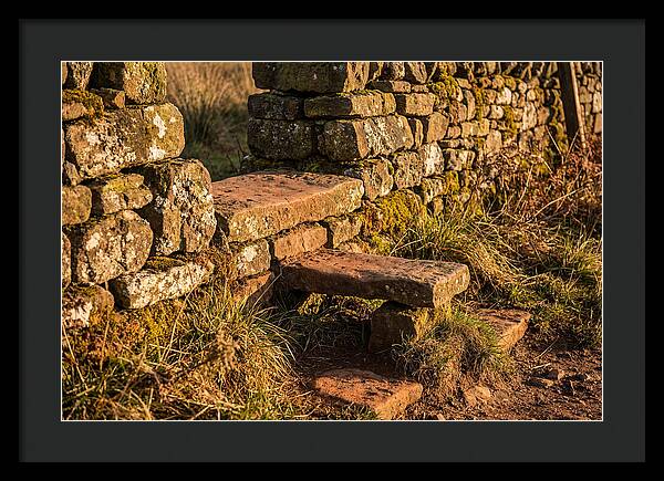 Stone Slab Steps Through Time