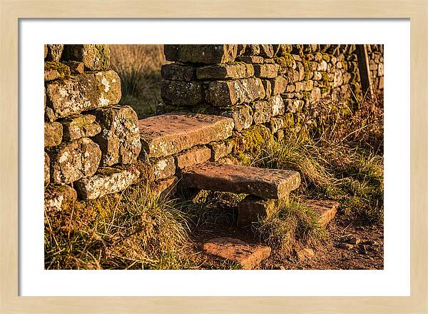 Stone Slab Steps Through Time