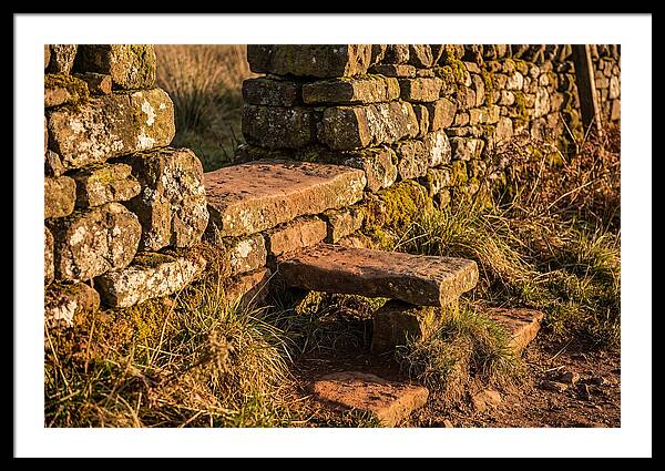 Stone Slab Steps Through Time
