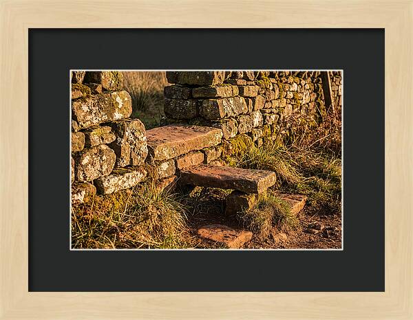 Stone Slab Steps Through Time
