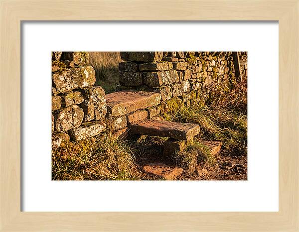 Stone Slab Steps Through Time