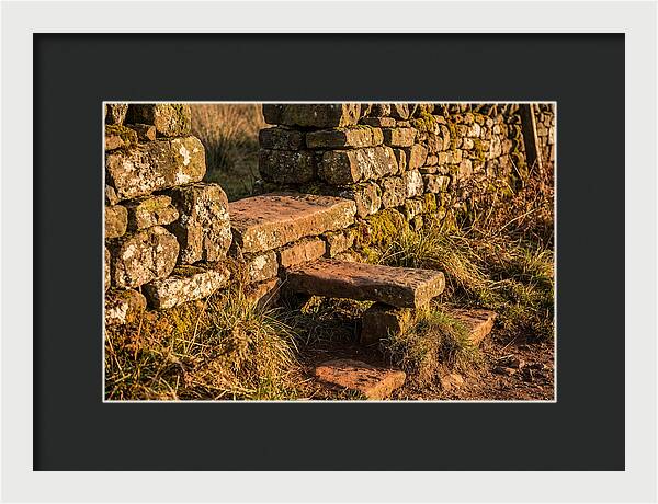 Stone Slab Steps Through Time