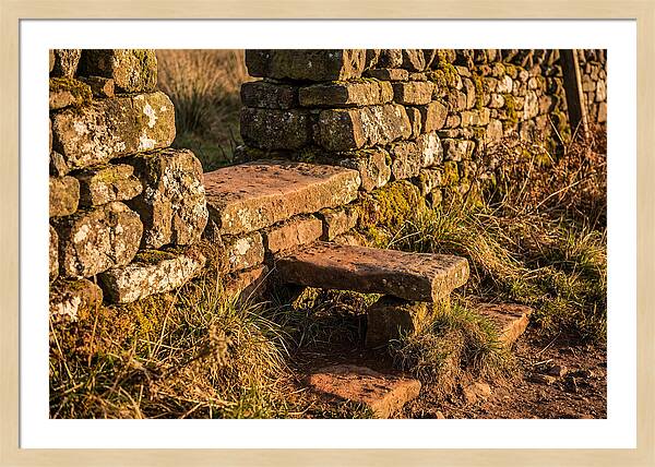 Stone Slab Steps Through Time