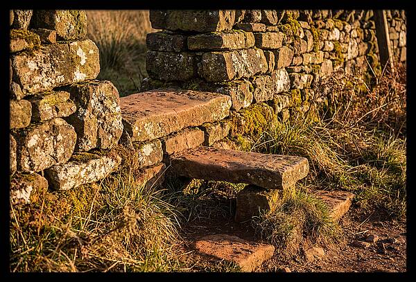 Stone Slab Steps Through Time