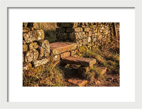 Stone Slab Steps Through Time