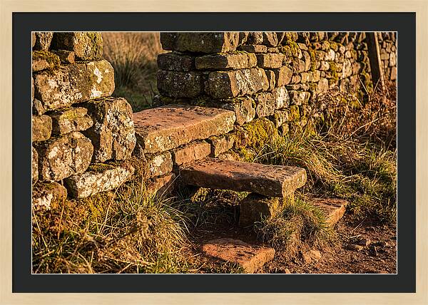 Stone Slab Steps Through Time