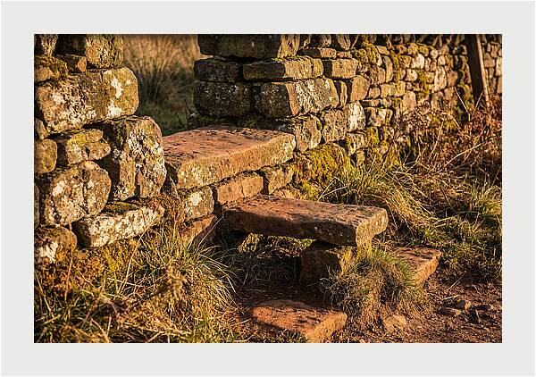 Stone Slab Steps Through Time