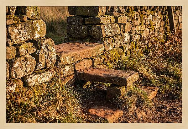 Stone Slab Steps Through Time