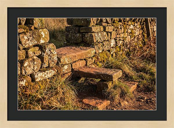 Stone Slab Steps Through Time