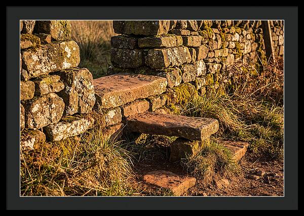 Stone Slab Steps Through Time