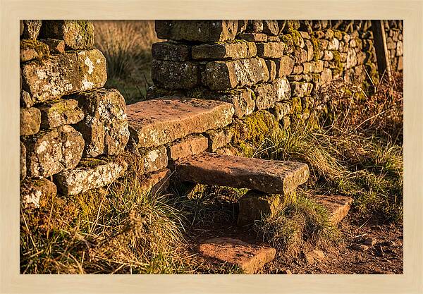 Stone Slab Steps Through Time