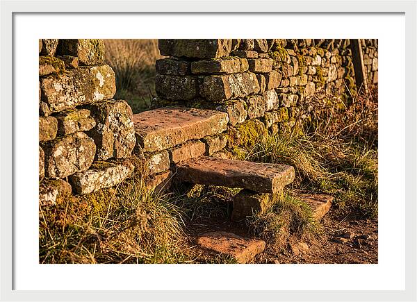 Stone Slab Steps Through Time