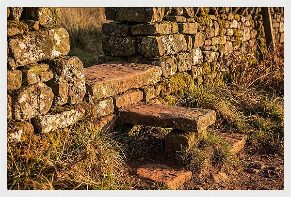 Stone Slab Steps Through Time