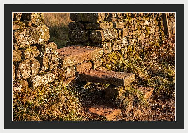 Stone Slab Steps Through Time