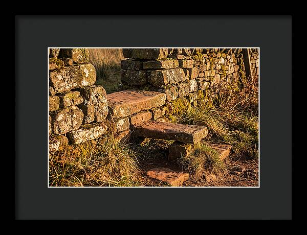 Stone Slab Steps Through Time