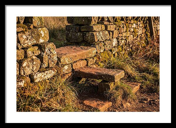 Stone Slab Steps Through Time