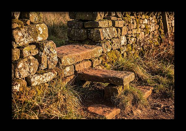 Stone Slab Steps Through Time