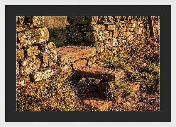 Stone Slab Steps Through Time