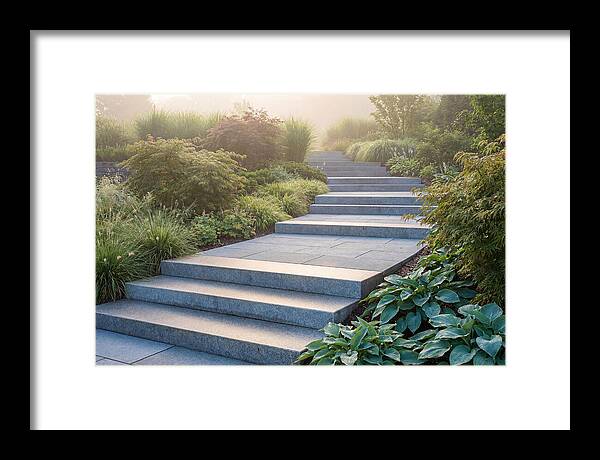 Stone Steps Ascending Garden Slope