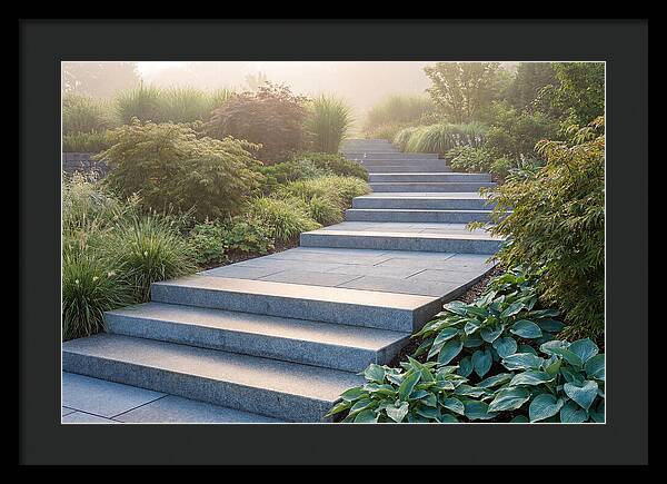 Stone Steps Ascending Garden Slope