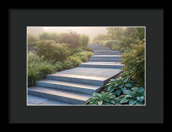 Stone Steps Ascending Garden Slope