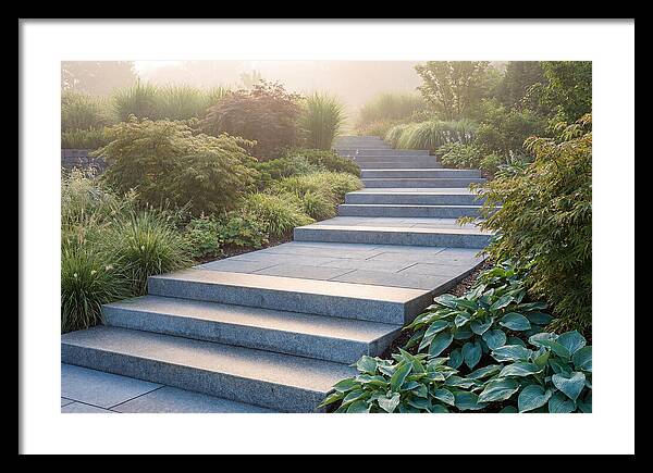 Stone Steps Ascending Garden Slope