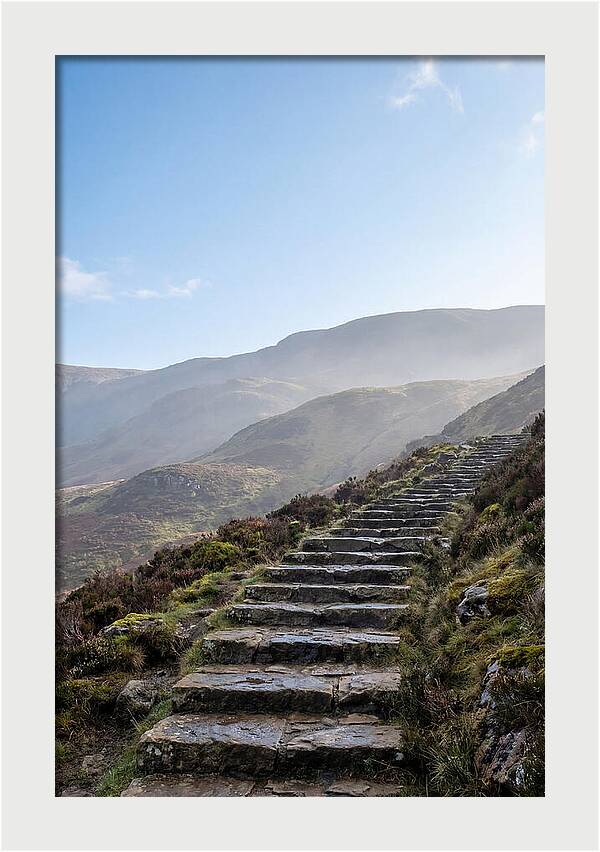 Stone Steps Ascending Misty Hillside