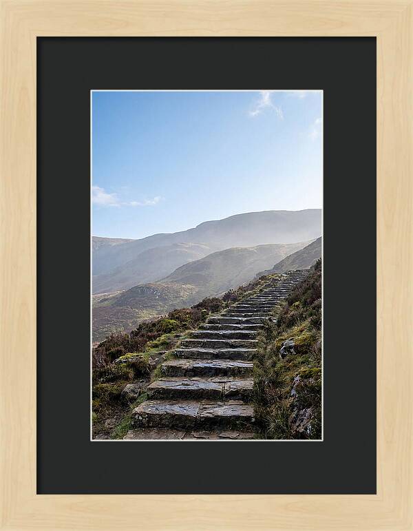 Stone Steps Ascending Misty Hillside