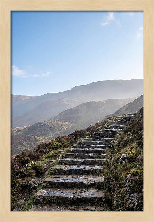 Stone Steps Ascending Misty Hillside